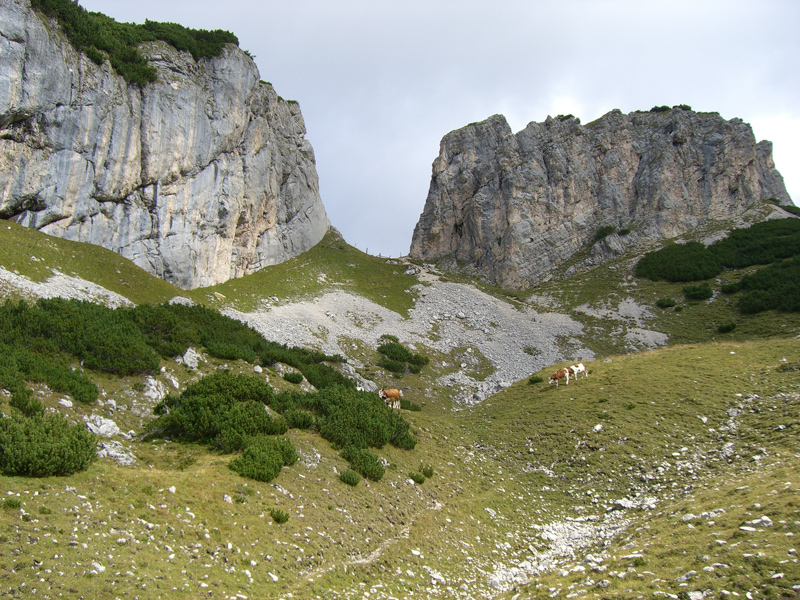 Kotalmtörl (Steinernes Tor)