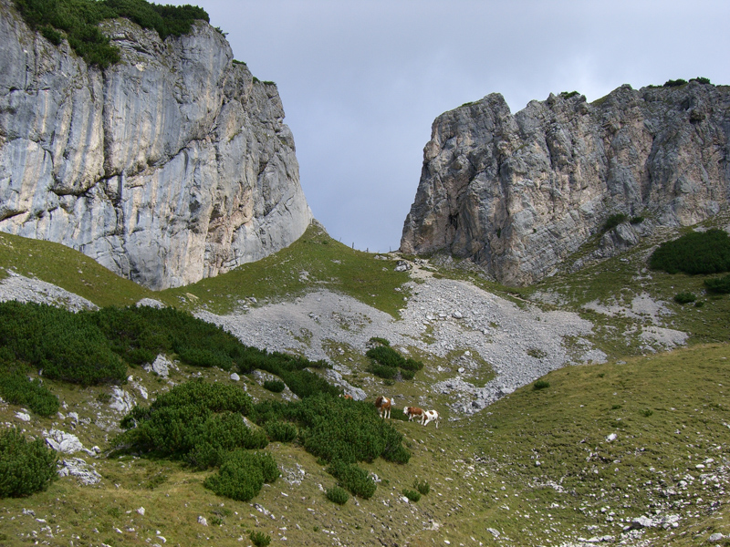 Kotalmtörl (Steinernes Tor)