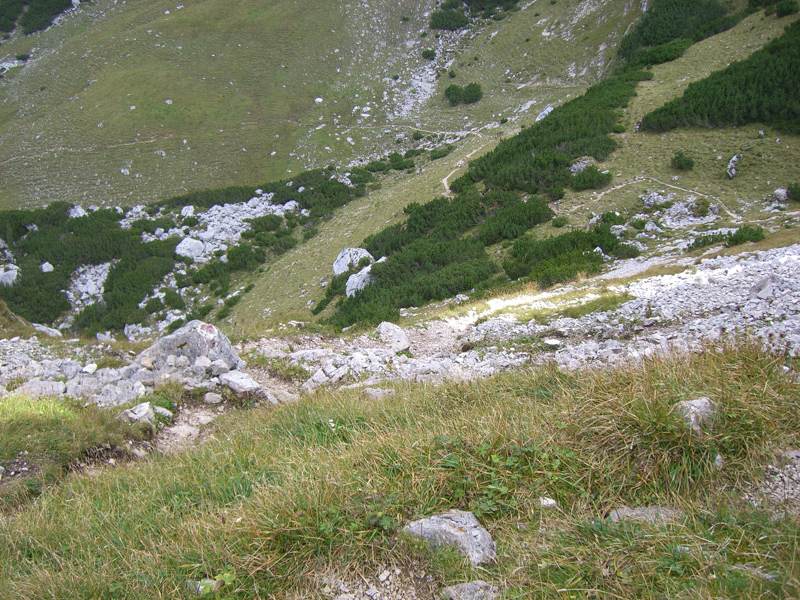 Weg vom Kotalmtörl (Steinernes Tor) zur Kotalm