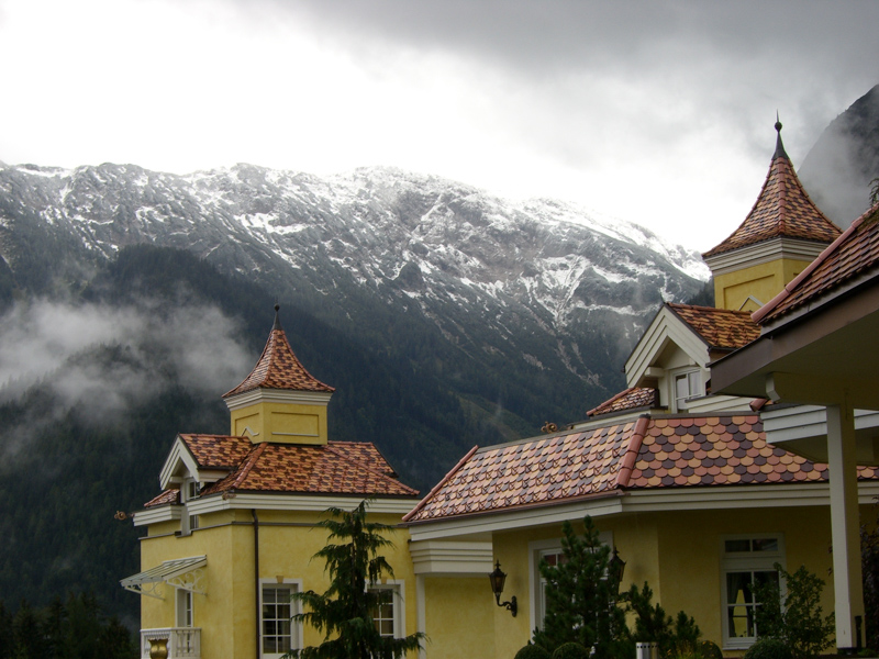 Alpenrose vor schneebedeckten Bergen