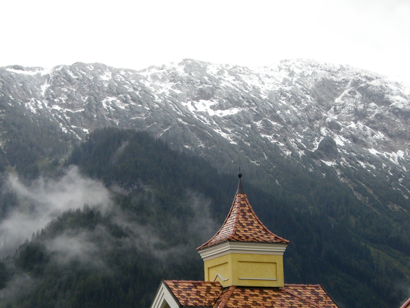 Alpenrose vor schneebedeckten Bergen