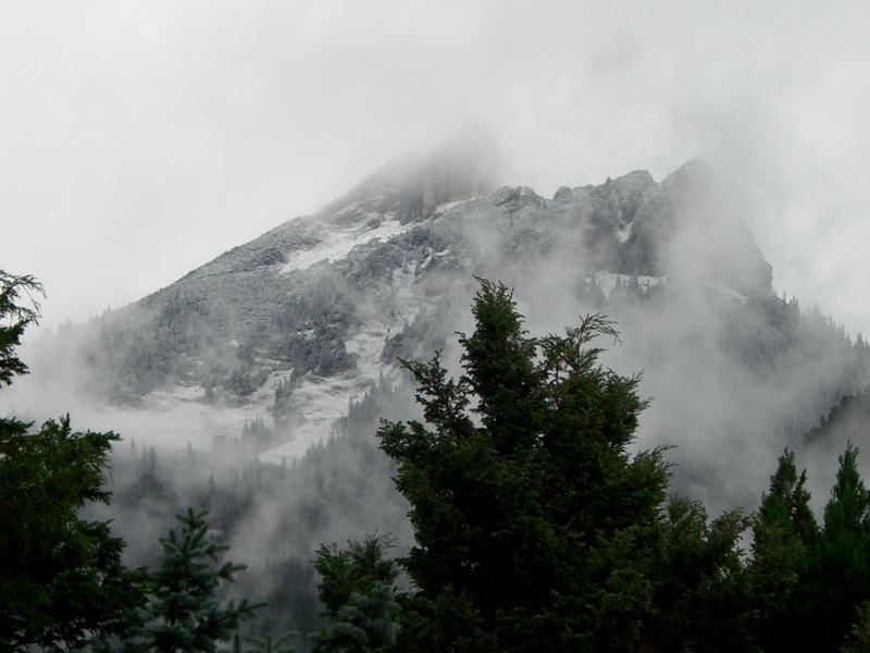 Rofan mit Schnee bedeckt