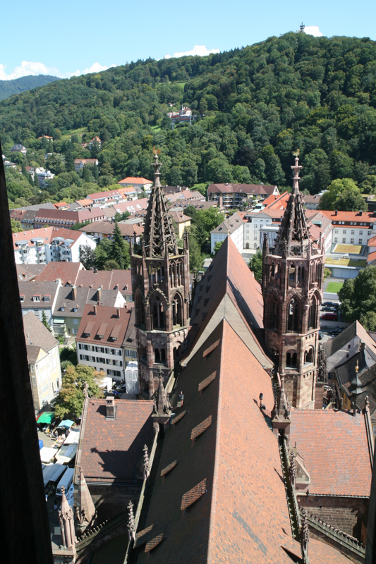 Freiburger Münster 'Unserer Lieben Frau' - Langhaus und Hahnentü