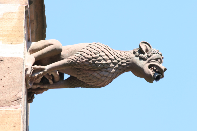 Freiburger Münster 'Unserer Lieben Frau' - Wasserspeier an der C