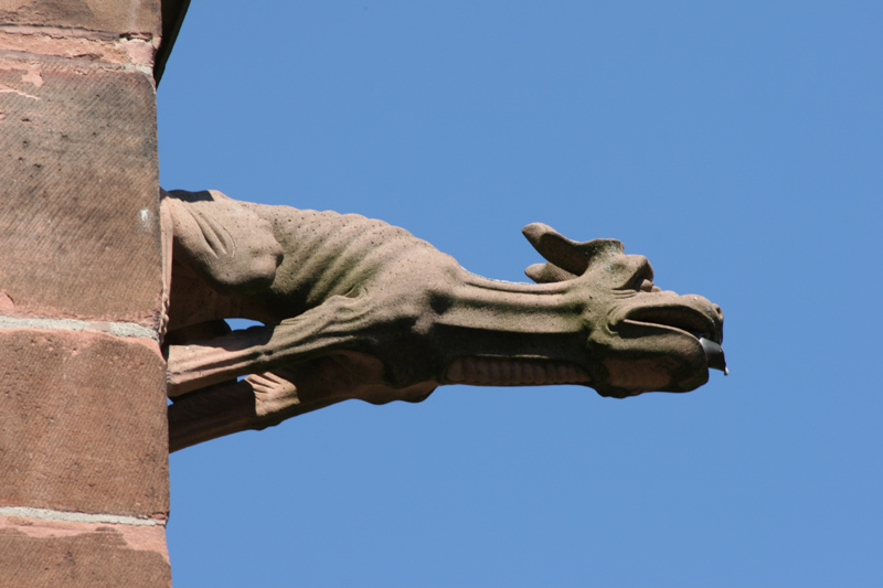 Freiburger Münster 'Unserer Lieben Frau' - Wasserspeier an der C