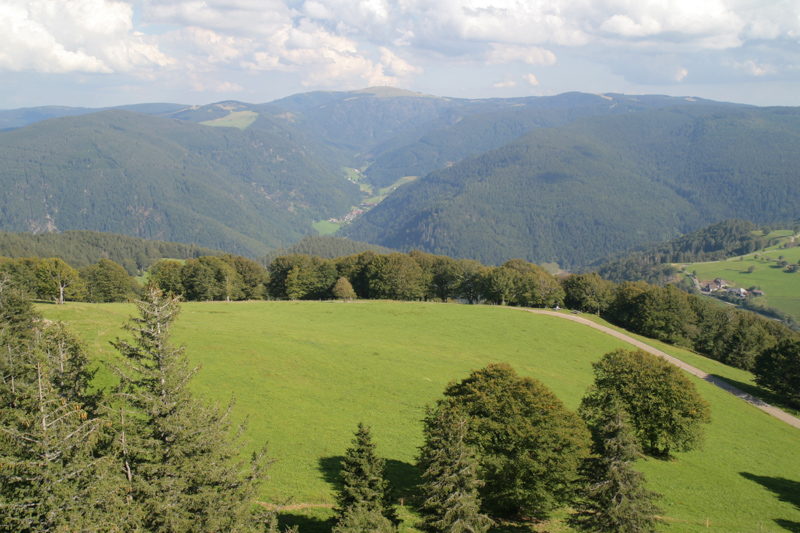 Blick nach Südosten auf St. Wilhelm und den Feldberg