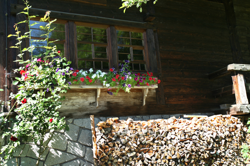 Schauinslandhaus Reeshanselhof