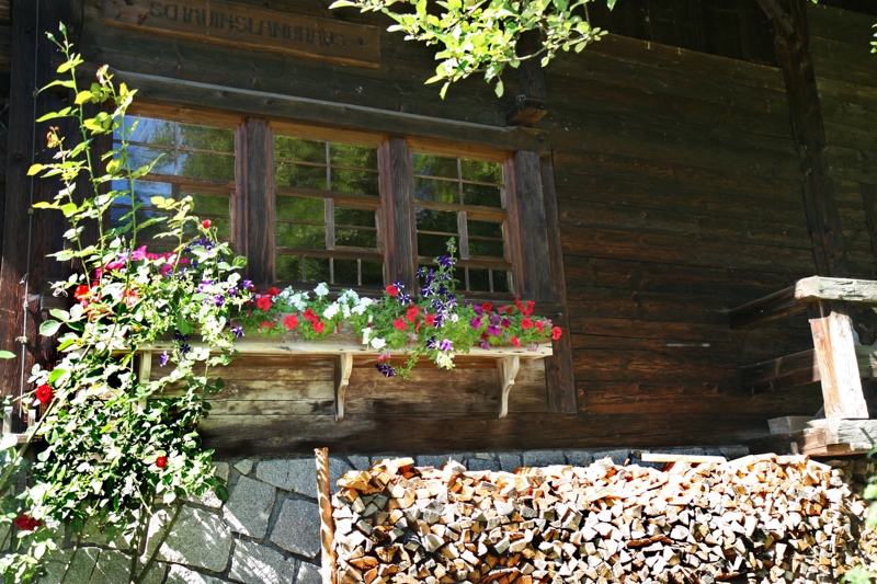 Schauinslandhaus Reeshanselhof