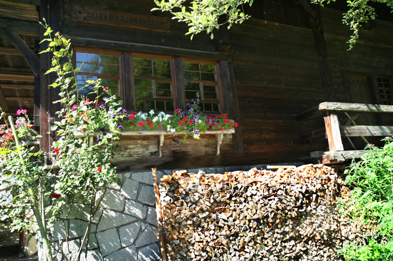 Schauinslandhaus Reeshanselhof