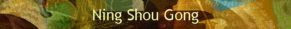 Ning Shou Gong